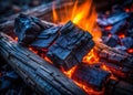 A Deep Dive into the Midnight Char Texture Exploring Minimalist Dark Photography Abstract Coal and Burned Wood