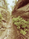 Deep entrance path in sandstone block. Historical path through forest Royalty Free Stock Photo