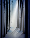 Deep fairy frosty winter forest with mistery light beam, shadows, fairy winter woods,