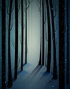 Deep fairy frosty winter forest with mistery light, shadows, sullen winter forest, scared cold frosty woods,