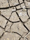 Aerial view dried mud cracked and seeds debris Royalty Free Stock Photo