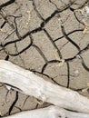 Aerial view dried mud cracks with bleached tree branch Royalty Free Stock Photo