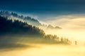 Deep fog above the valley at sunrise