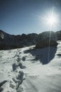 Deep footprints in fresh snow, Tatra Mountains