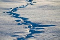 footprints in the snow Royalty Free Stock Photo