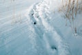 Deep footprints in snow in nature, winter day outdoors