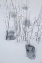Deep footprints in a snowy wild area