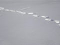 Deep footsteps on even snow surface