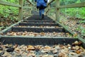 Deep Forest Hiking Trail. Hiking Up Wooden Stairs Royalty Free Stock Photo