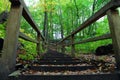 Deep Forest Hiking Trail. Hiking Up Wooden Stairs Royalty Free Stock Photo