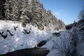 Deep forest lake with water torrent