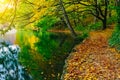 Deep forest pathway in the sunshine near the lake.Plitvice lakes,Croatia Royalty Free Stock Photo