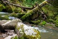 Deep forest river landscape Royalty Free Stock Photo