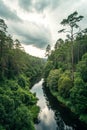 Deep forest river landscape Royalty Free Stock Photo