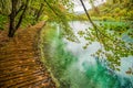 Deep forest stream. Crystal clear water. Plitvice lakes, Croatia