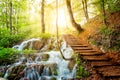 Deep forest stream with crystal clear water in the sunshine