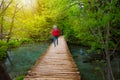 Deep forest stream with crystal clear water and walking people in the sunshine Royalty Free Stock Photo