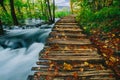 Deep forest stream with crystal clear water with wooden pahway. Plitvice lakes, Croatia UNESCO Royalty Free Stock Photo