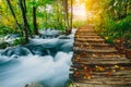 Deep forest stream with crystal clear water with wooden pahway. Plitvice lakes, Croatia UNESCO Royalty Free Stock Photo