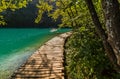 Deep forest stream path with crystal clear water in the sunshine. Plitvice lakes, Croatia Royalty Free Stock Photo