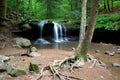 Deep Forest Waterfall Royalty Free Stock Photo