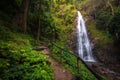 Deep forest waterfall Royalty Free Stock Photo