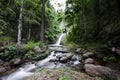 Deep forest waterfall in Lampang Royalty Free Stock Photo