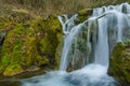 Deep forest Waterfall near village of Bachkovo, Bulgaria Royalty Free Stock Photo