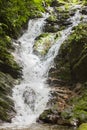 Deep forest waterfall stream view. Royalty Free Stock Photo