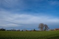 Deep, fresh blue sky with white clouds over landscape with oak trees, vegetation and rural house Royalty Free Stock Photo