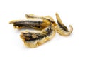 Deep fried anchovies Royalty Free Stock Photo