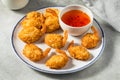 Deep Fried Asian Coconut Shrimp Royalty Free Stock Photo