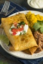 Deep Fried Beef Chimichanga Burrito Royalty Free Stock Photo