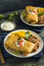 Deep Fried Beef Chimichanga Burrito Royalty Free Stock Photo