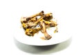 Deep fried chicken bones on white plate Royalty Free Stock Photo