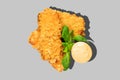 Deep fried chicken nuggets isolated on grey background. Chicken fillet appetizer Royalty Free Stock Photo