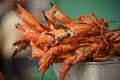 Deep Fried Crabs