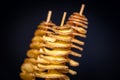 Deep-fried crispy tornado potatoes on a wooden skewer. Potato chips. Street food. Junk food. Unhealthy food