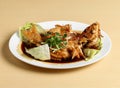 Deep fried grouper served in dish isolated on background top view singapore food