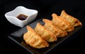 Deep fried gyoza crispy and golden colour. Royalty Free Stock Photo