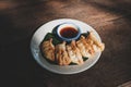 Deep fried gyoza crispy and golden colour set with soy sauce in white plate on wooden table Royalty Free Stock Photo