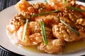 Deep fried honey prawns with caramelized walnuts and spring onions close-up. horizontal Royalty Free Stock Photo