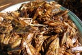 Deep fried insects Royalty Free Stock Photo