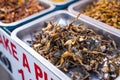 Deep fried insects weird food at Khao San Road Bangkok Royalty Free Stock Photo