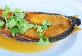 Deep Fried Mackerel with Fish Sauce, Thai cuisine Royalty Free Stock Photo