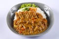 Deep fried pork with rice and curry sauce in japanese style - Tonkatsu Kare