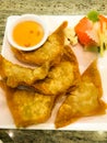 Deep Fried Pork Wonton - Giew Moo Tod on plate. Royalty Free Stock Photo