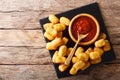 Deep-fried Potato Tater Tots and ketchup close-up. horizontal to