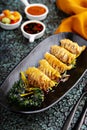 Deep fried potstickers or dumplings Royalty Free Stock Photo