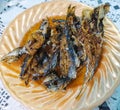 Deep fried sardine tasty and crispy Royalty Free Stock Photo